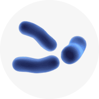 Bacteria illustration in blue, representing microbiology or health-related topics.