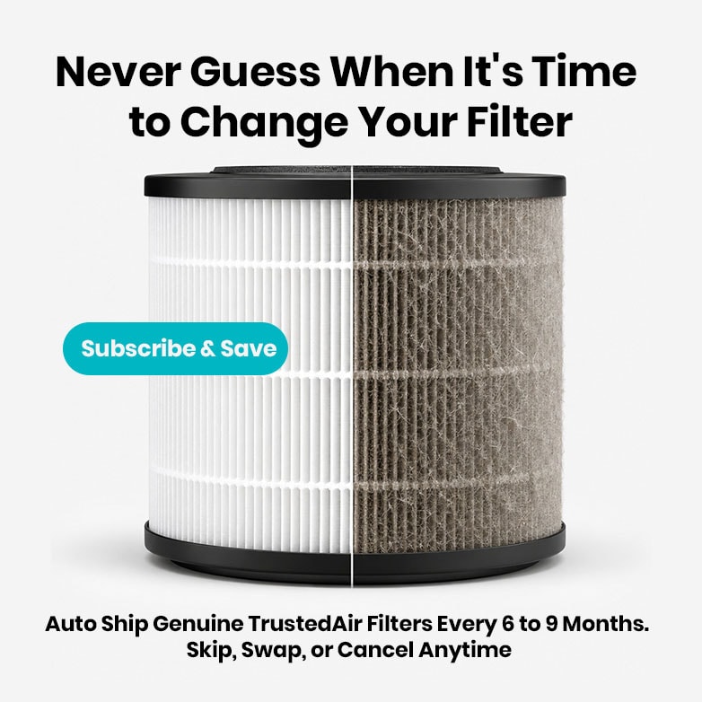 Close-up of a HEPA air purifier filter showing clean and dirty sides, emphasizing filter maintenance for optimal air quality.