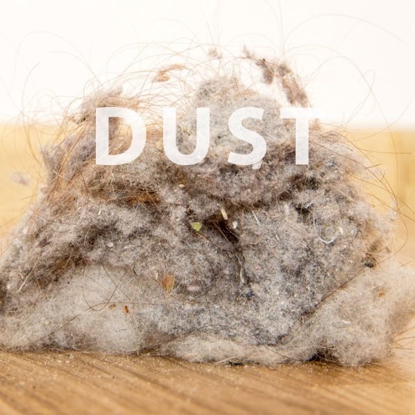 Close-up of a dust particle on a wooden surface, illustrating airborne dust that air purifiers can filter out.