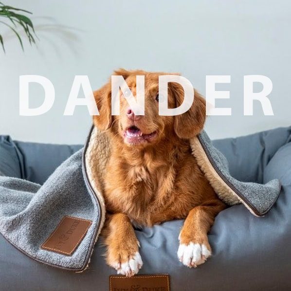 Golden retriever dog with a cozy blanket and a TrustedAir Smart HEPA Air Purifier in the background, emphasizing clean air for pets and families.