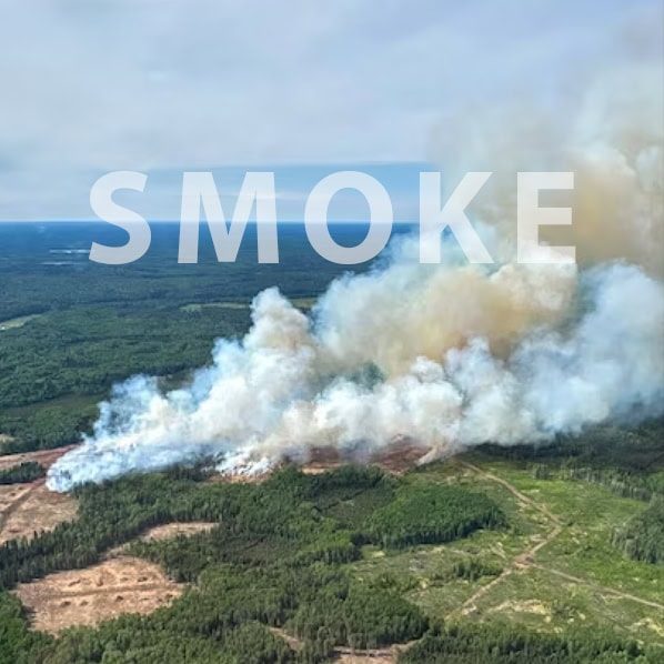 A large wildfire with smoke billowing over a forested area, highlighting the need for effective air purification.