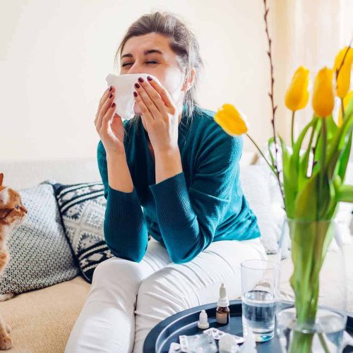 Sneezing woman with tissues on sofa, surrounded by cats, feeling sick, indicating allergy or cold.